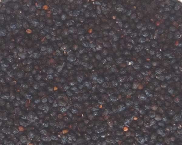 Holunderbeeren  1000 gr.