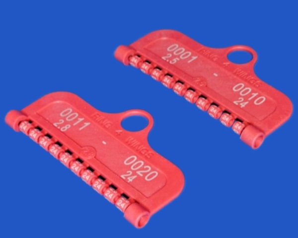 Annual rings 2024 exotics 3.0 mm 10 pieces No. 1 - 10