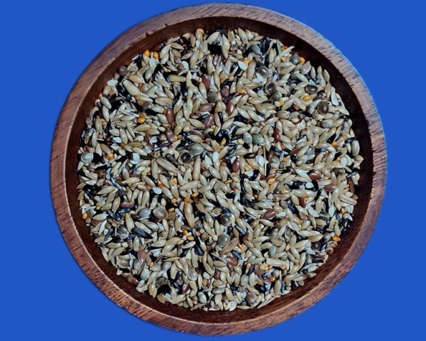 Positur & Farbe II Kanarienfutter 4000 gr.