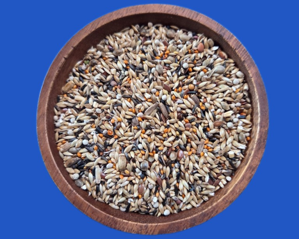 Positur & Farbe II  Kanarienfutter  1000 gr.