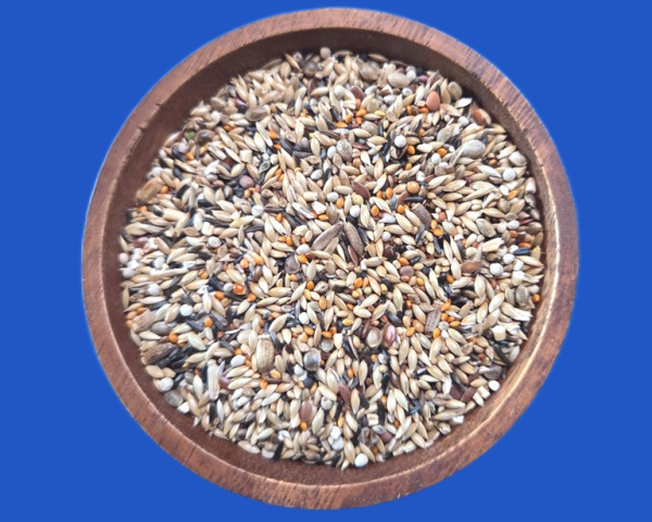 Positur & Farbe II  Kanarienfutter 10.000 gr.