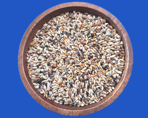 Positur & Farbe II Kanarienfutter 4000 gr.