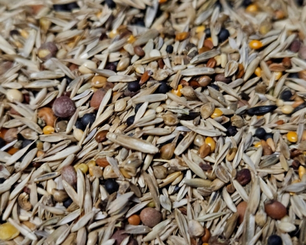 Sittich - Kräuter & Gesundheitssamen  4000 gr.