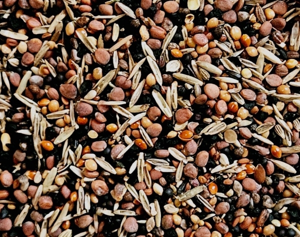 Kräuter & Gräser &  Gesundheitssamen   10.000 gr.