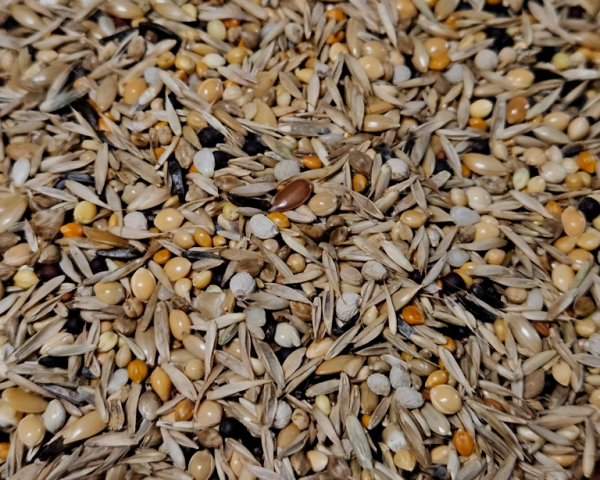 Kubafinken & Haubenfinken   4000 gr.