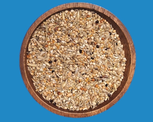 Lonchura Premium   Nonnen - Arten     10.000 gr.