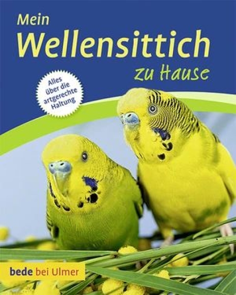 Mein Wellensittich zuhause