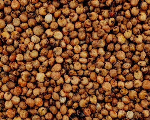 Milokorn    Naturbelassen 10.000 gr.