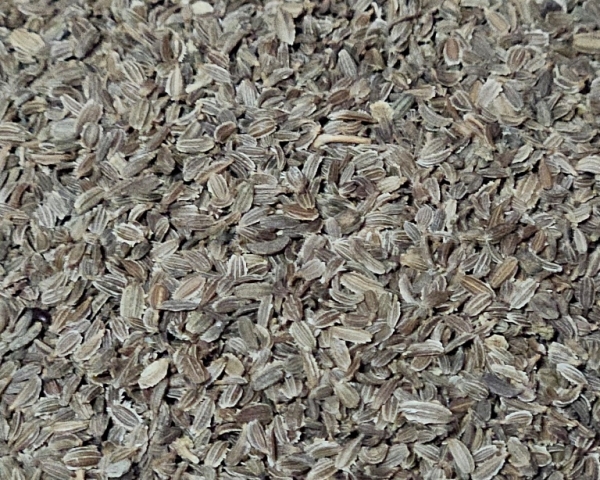Möhrensamen   Naturbelassen 1000 gr.