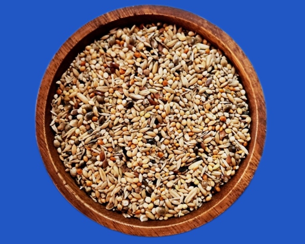 Neophemen  Saaten Vielfalt    1000 gr.