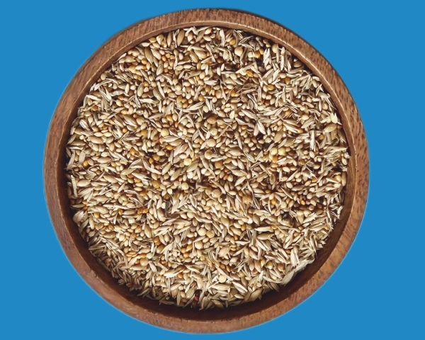 Papageiamadinen Select Premium 4000 gr.