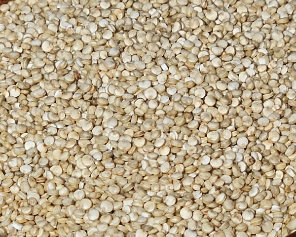 Quinoa - Samen    Naturbelassen   2000  gr.
