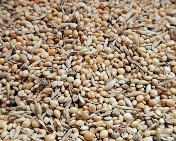 Prachtfinken Ruhephase    Select  1000 gr.