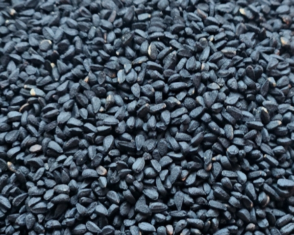Schwarzkümmelsaat  Naturbelassen neu 1000 gr.