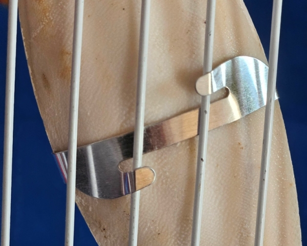 Sepia - Schalen  Metall - Halterung   10 - 12 cm