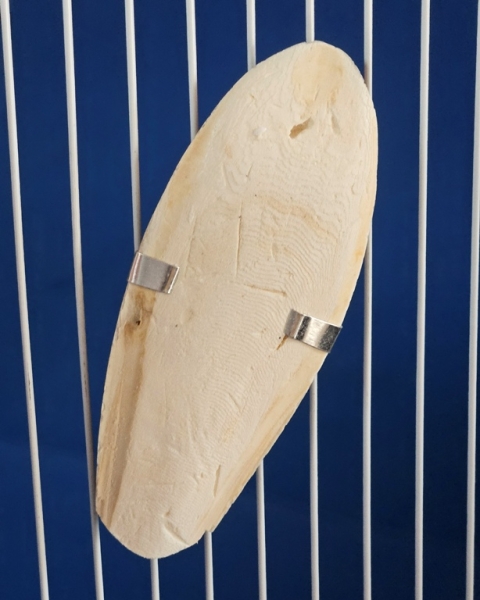 Sepia - Schalen  Metall - Halterung   10 - 12 cm