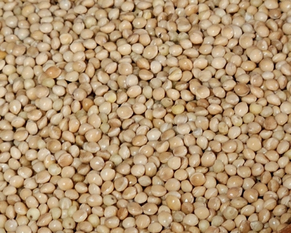 Silberhirse Naturbelassen 1000 gr.