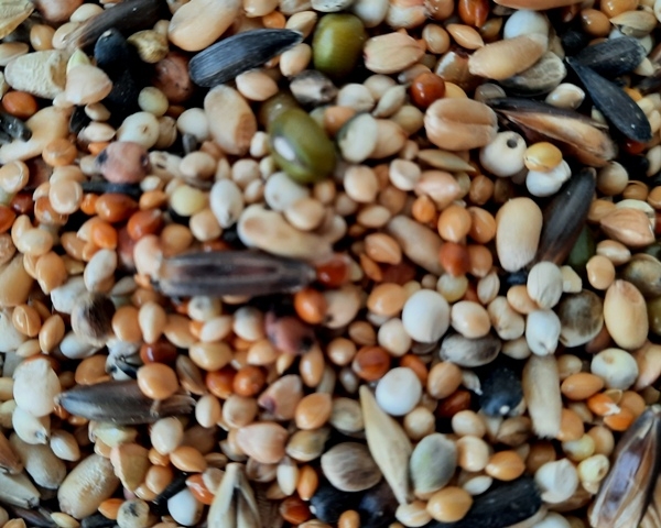 Sittich - Keimfutter Spezialitäten Mix 1000 gr.