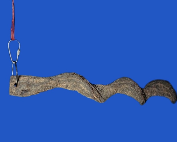 Natur - Sitzstange aus Drachenholz Länge  35 cm