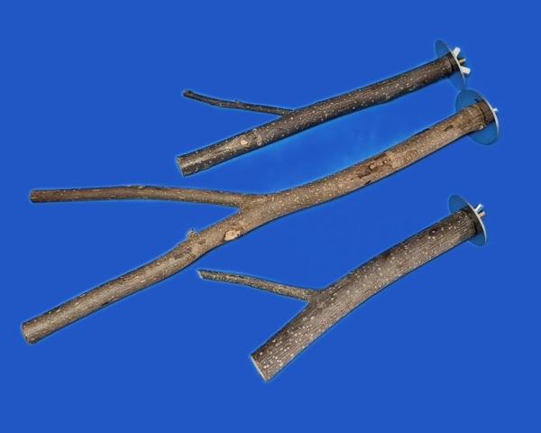 Sitz - Zweig    Naturholz - mini S    20 cm