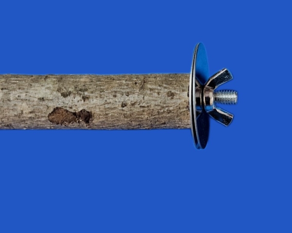 Sitz - Zweig    Naturholz - mini S    20 cm