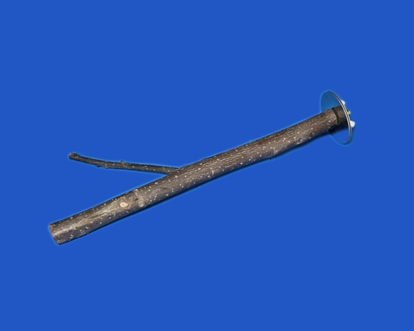 Sitz - Zweig    Naturholz - mini S    20 cm