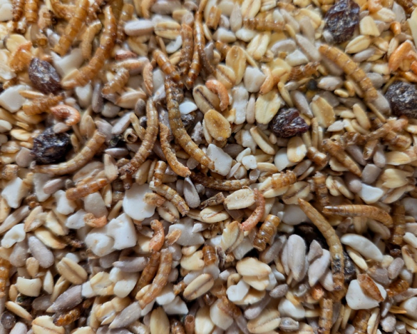 Animal - Energie Ganzjahresfutter   2000 gr.