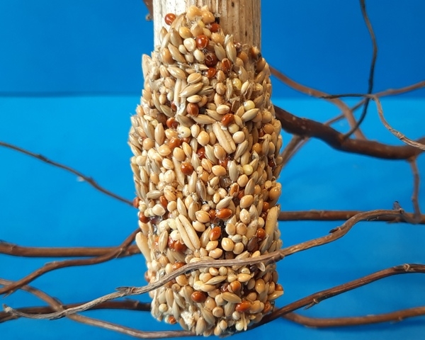 Millet sunflower stalks