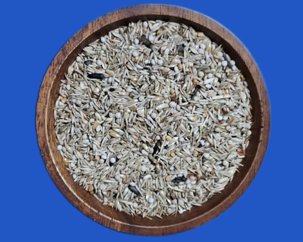 Zeisig Südamerika  Italien - Premium  7.500 gr.