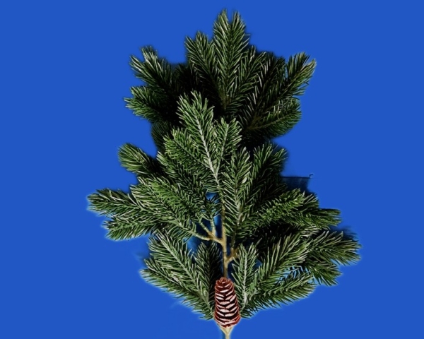 Tannenzweige mittel  48 cm