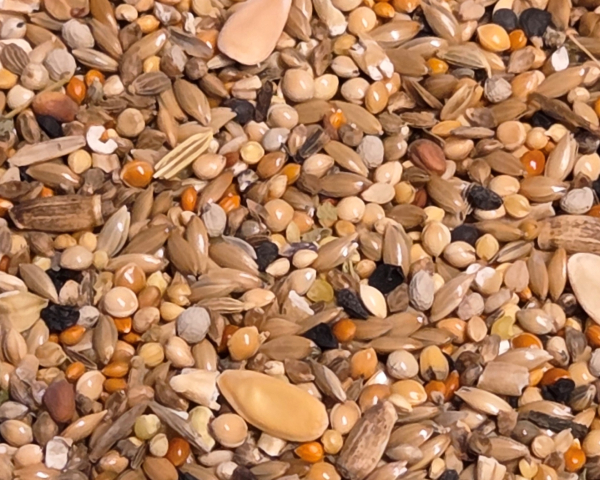 Wellensittich Genuss & Vielfalt  2000 gr.