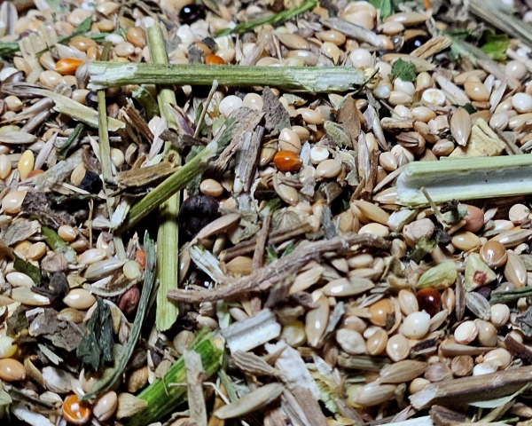 Wellensittich  Knabber Garten 4000 gr.