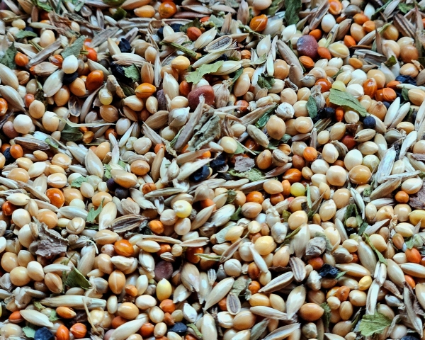 Wellensittich Wildsamen Kräuter 1000 gr.
