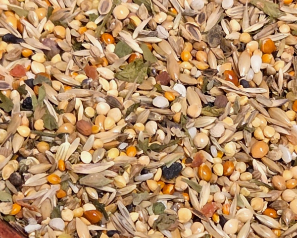 Wellensittich Wildsamen Kräuter 10.000 gr.