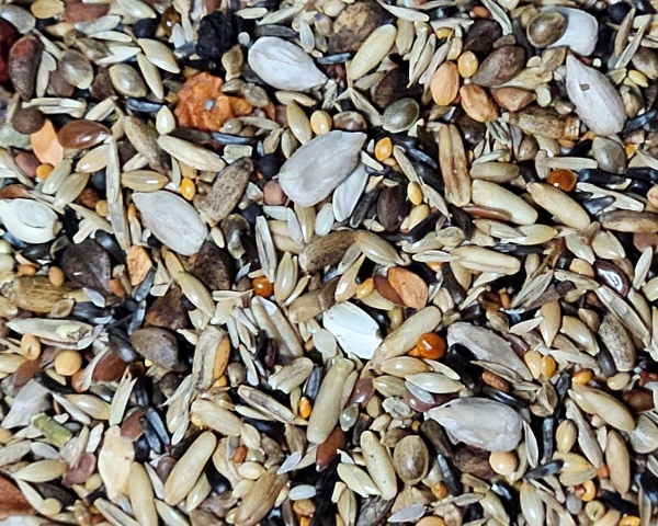 Waldvogel - Zucht Super - Premium 10.000 gr.