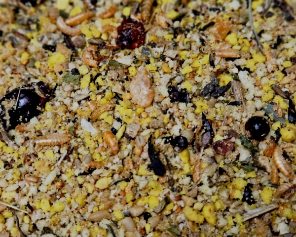 Waldvogel - Prem. Ei & Aufzuchtfutter 5000 gr.
