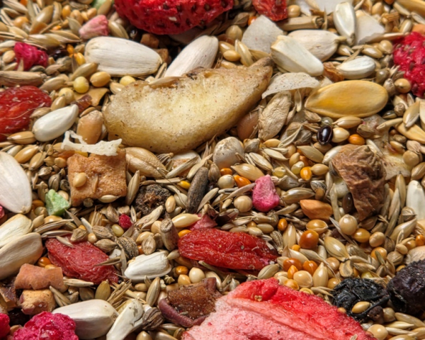 Ziegensittich Früchte - Beeren   4000 gr.