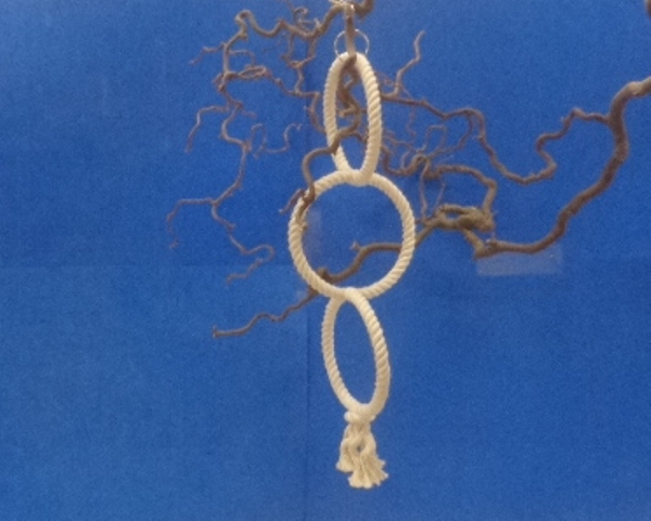 Baumwollring Trio - 3 Ringe  dm = 24 cm  72 cm lang