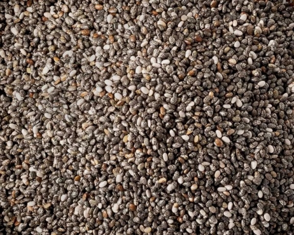 Chiasamen / span. Salbeisamen grau 4000 gr.