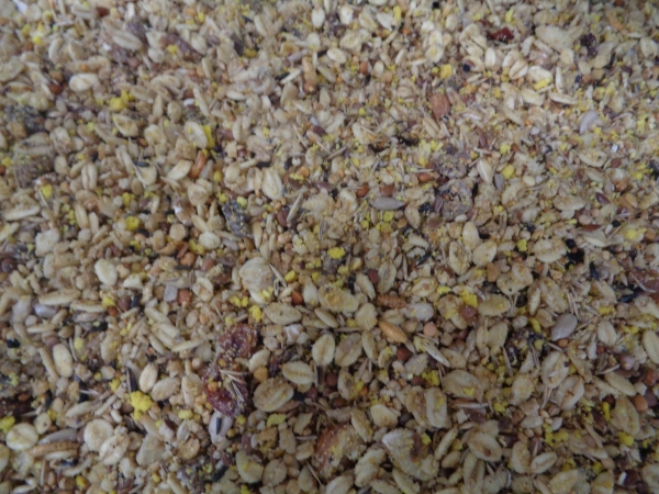 Animal Sommermix Eimer   3000 gr.