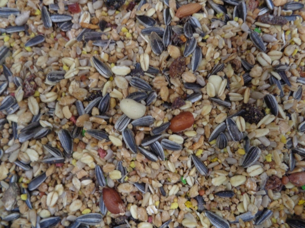 Animal Sommermix  grob  Eimer   3000 gr.