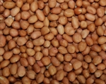 Erdnüsse ganz Light - Skins rot  4000 gr.