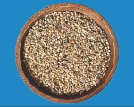 Gouldamadinen    Zucht &  Haltung      1000 gr.