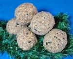Gourmet - Balls  mit Insekten  6 er