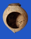 Cocosnuss - Haus  zum Anschrauben Maße dm  9,5 cm