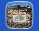 Mehlwürmer getrocknet Dose   500 ml