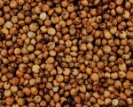 Milokorn   Naturbelassen 1000 gr.