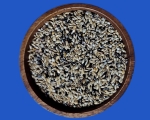 Mosaik Profess. Kanarienfutter  4000 gr.