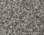 Möhrensamen   Naturbelassen 1000 gr.