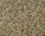 Petersiliensamen Naturbelassen  1000 gr.